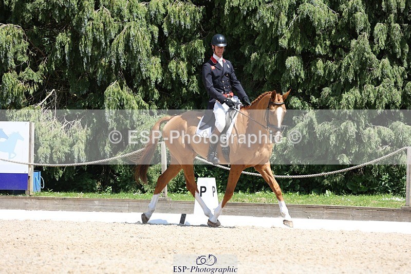 230526-140045-06435 - 370-DUKE_LEGACY-William_Fox-Pitt-WEDTrotUp+DR