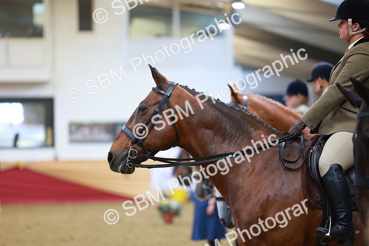 SBM_09456 - Class 102 - HOYS Veteran Qualifier - Ridden Veteran