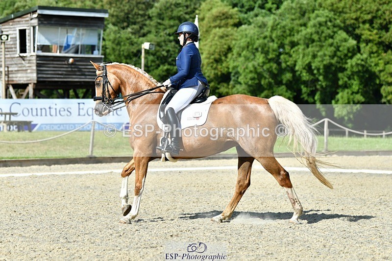 230623-165825-02939 - Cls 9 Advanced Medium 91Q