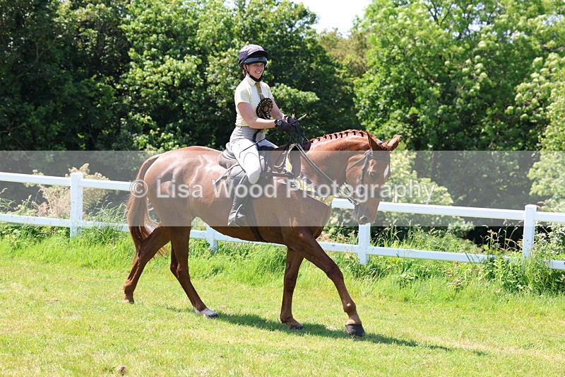 3E7A8145 - Working Hunter Championship
