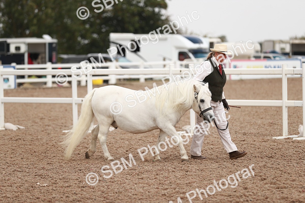 SBM_12399 - Class 207 IH M&M