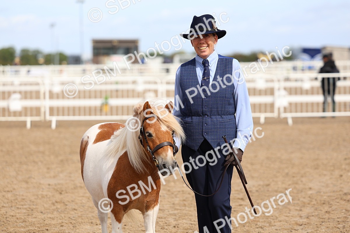 SBM_02386 - Class 19 - Horse or Pony Judge would most like to take home