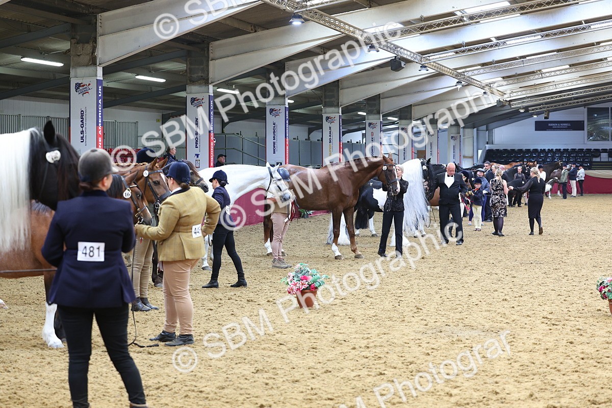 SBM_22918 - Class 903 - Supreme Final - IH Pre Vet