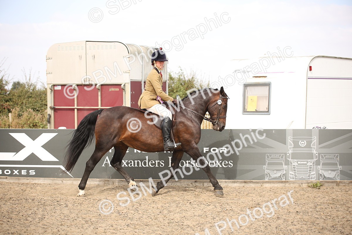 SBM_15085 - Class 408a - Working Veteran 70cm (15-19