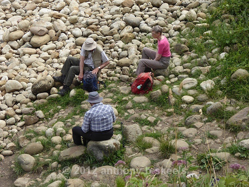 048 Another three settled - York Minster Walkers Collection 2025