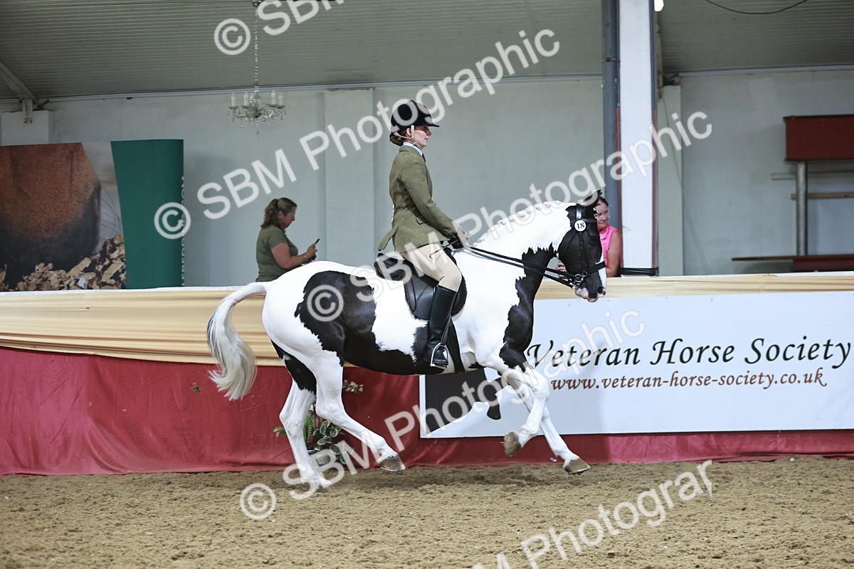 SBM_08829 - Class 12R - Regional Ridden Pre-Vet