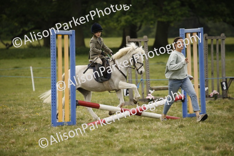 20250517-0929 - Class 2 - 30cm Off Lead Rein