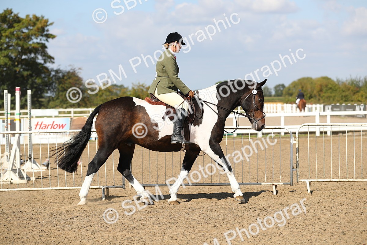 SBM_03124 - Class 44 Riding Club Horse/ Pony