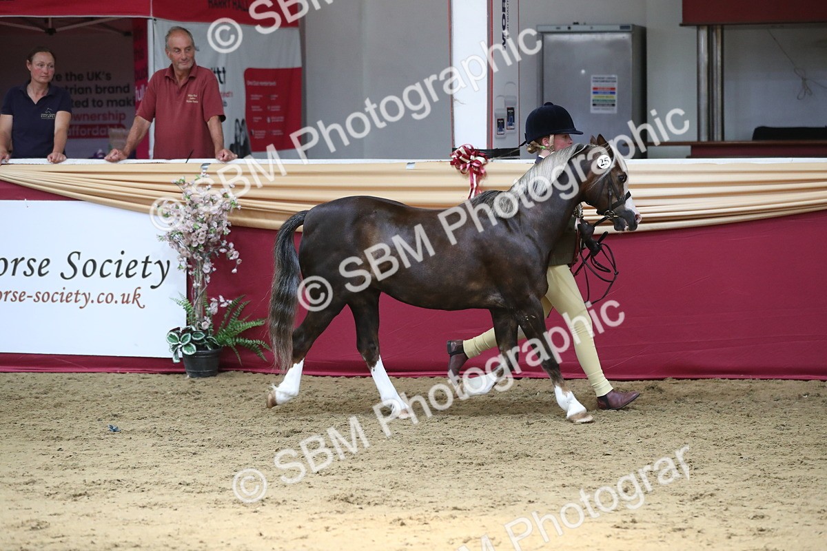 SBM_06626 - Regional IH Champ
