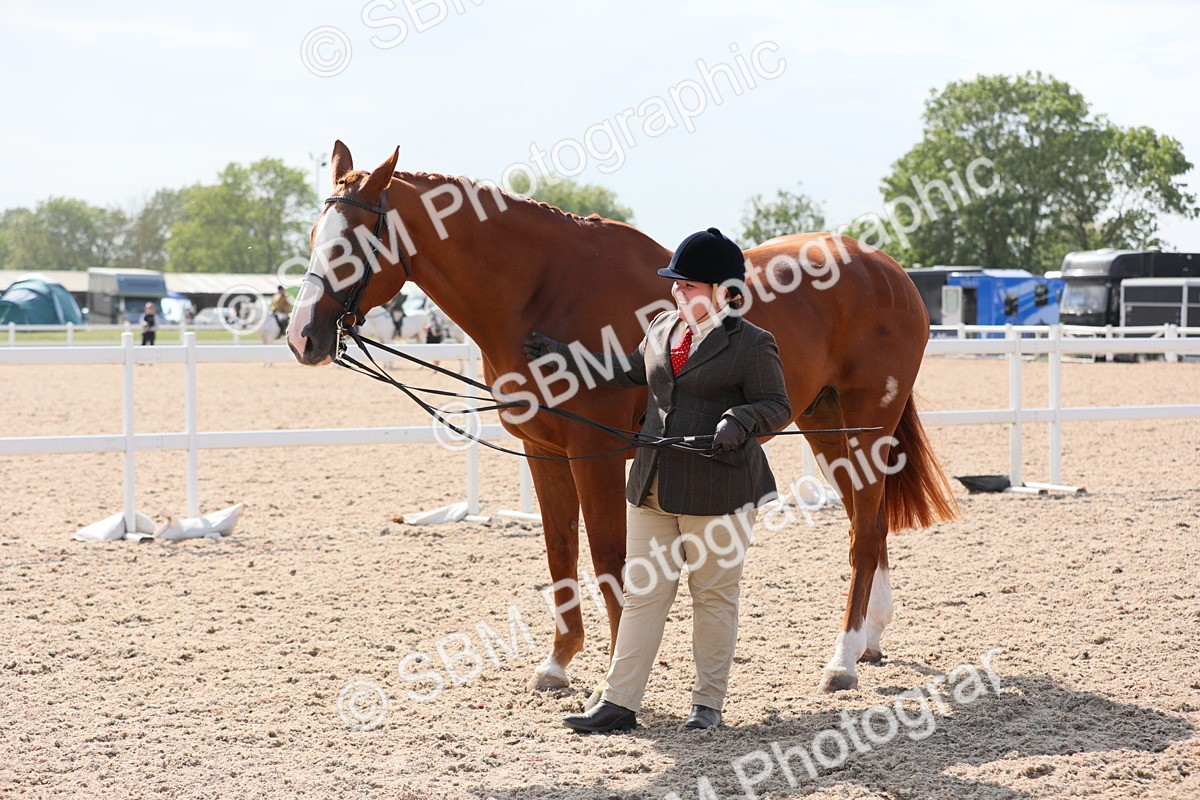SBM_15778 - Class 312 IH Competition Horse/Pony