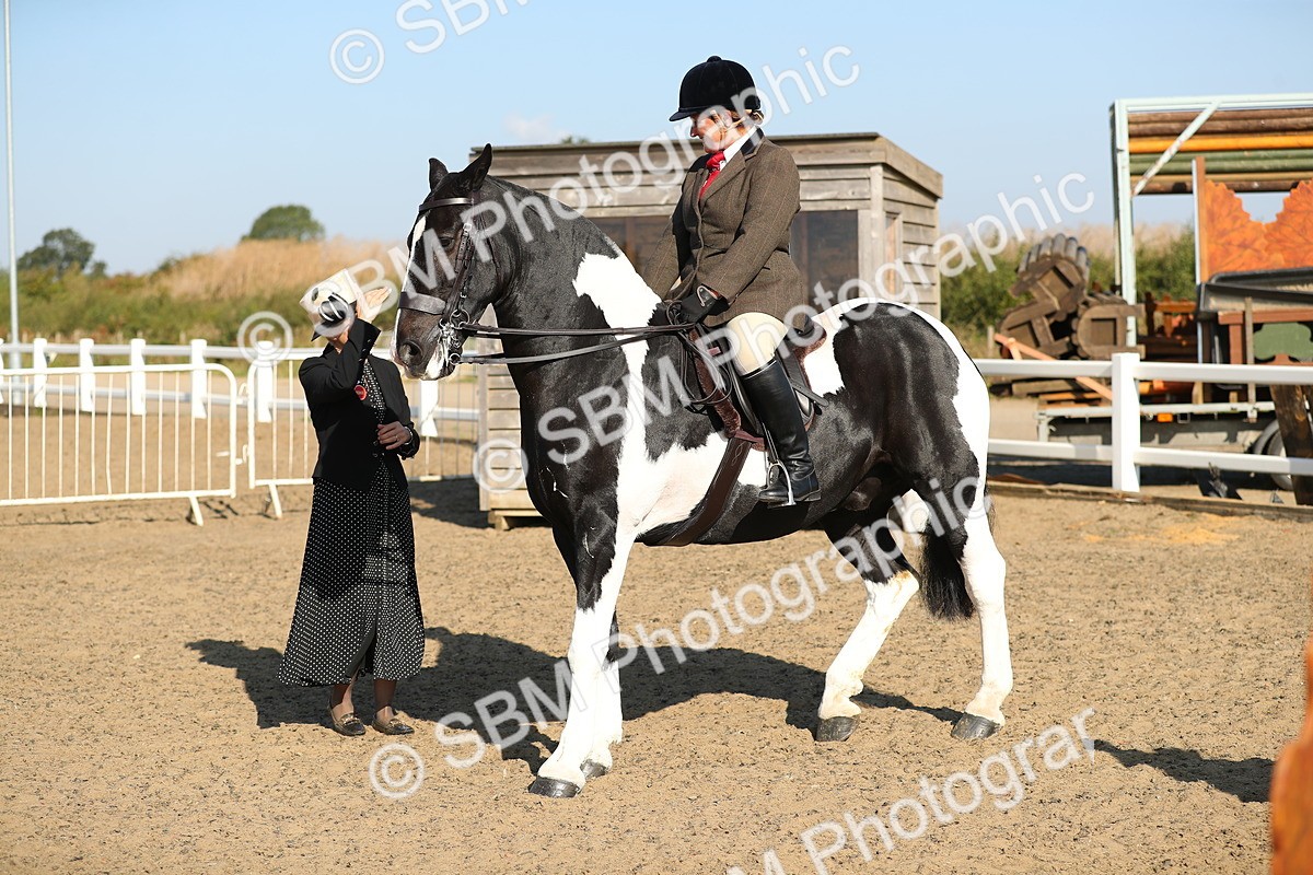 SBM_01179 - Class 42 Ridden Veteran