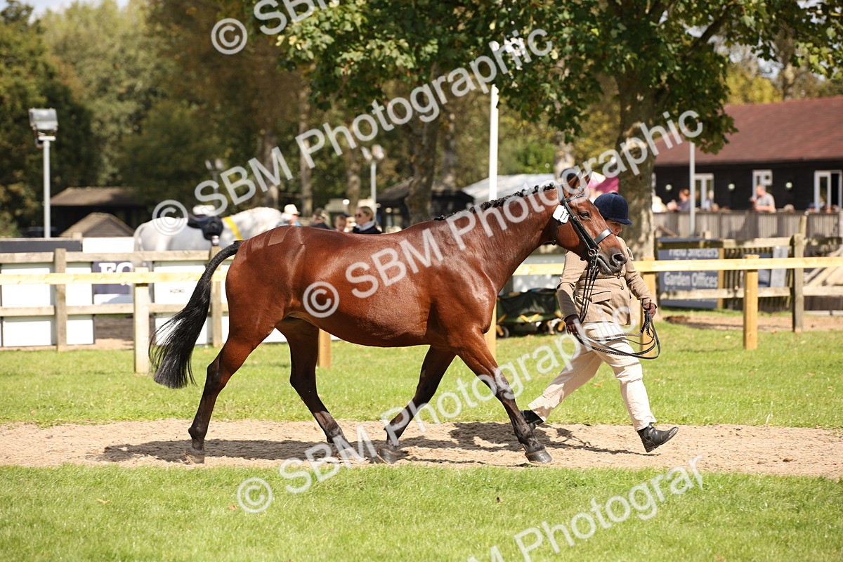 SBM_44389 - S24 - Young Veteran in hand