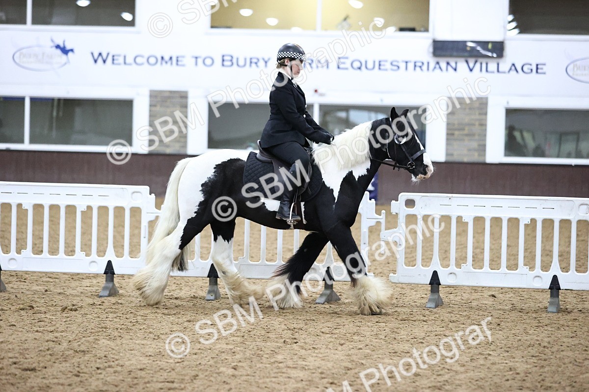 SBM_6339 - Class 45-42 - Ridden Irish Breeds-Ridden Cob