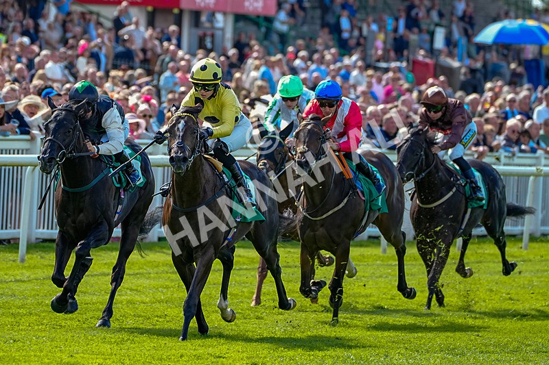 050926-Race 2-This Moment-2-2 - Race 2 2.05pm JW4X4 Northallerton Nursery Handicap
