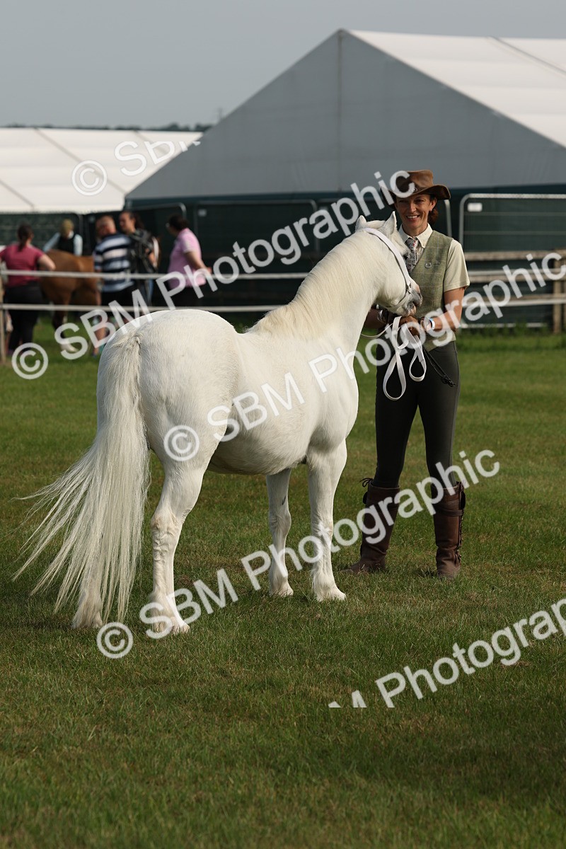 SBM_00582 - Class 6-13 - Mountatin and Moorland In Hand Welsh Breeds