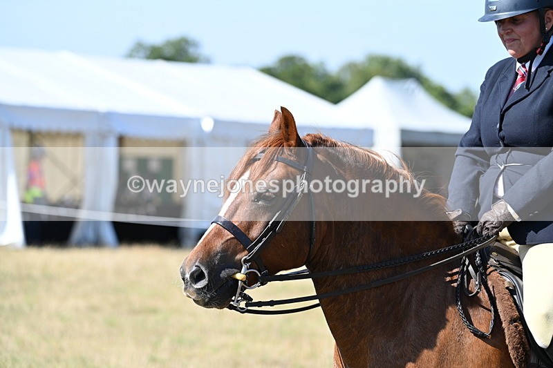 WJ7_3825 - Class 9 Mountain & Moorland Ridden