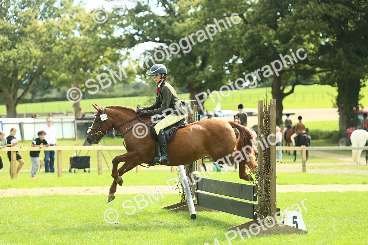 SBM_44568 - S31 - Working Hunter Pony