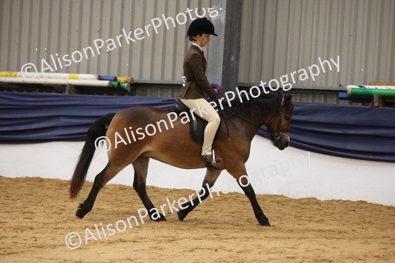 20260913-0602 - Class 126 - Novice Ridden