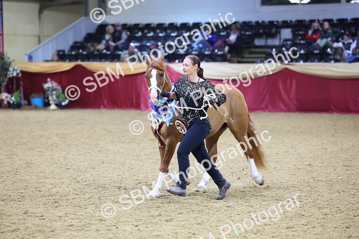 0B8A4437 - Class N M&M Champ