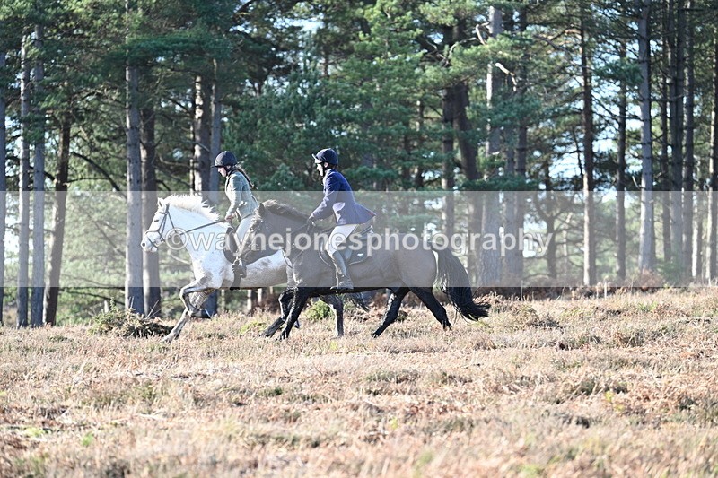 WJ7_7068 - Line 3 (no line 4 or 5)