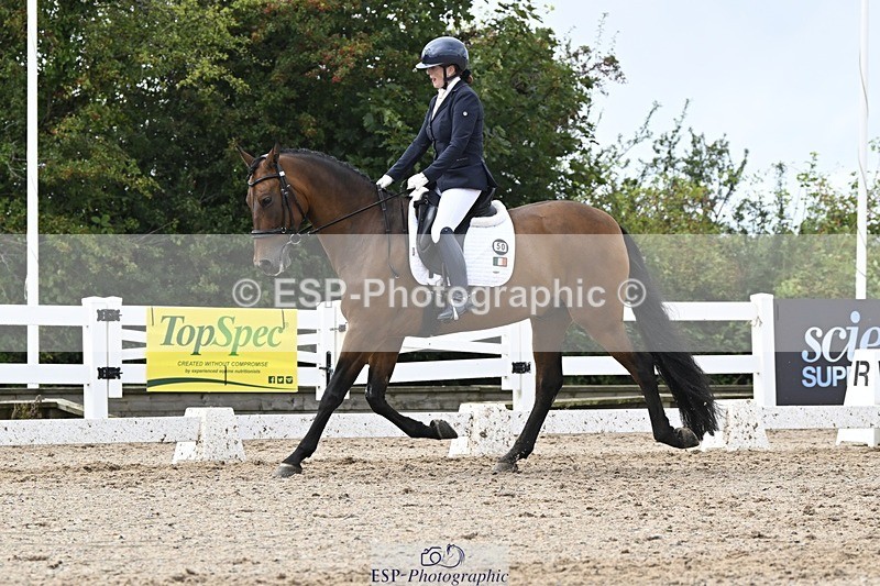 250907-154220-10276 - 050-Collette.WardJazz.XI