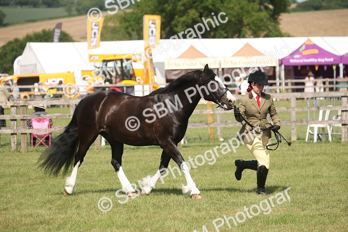 SBM_09233 - Class 31-32 - SSADL Members Challenge