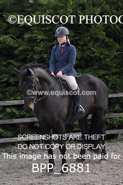BPP_6881 - RING 1  (RIDDEN HORSES / IN HAND / VETERAN ETC)