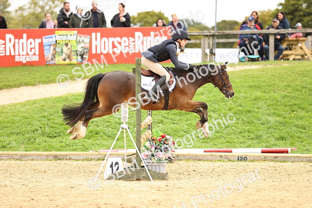 SBM_66528 - J17 - Junior Pony 80cm Championship