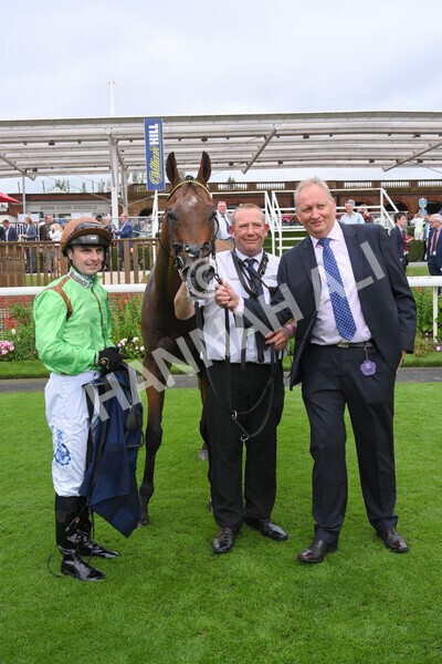 yr24092021r3-43 - Race 3 2.40pm WilliamHill.com Best Odds Guaranteed Stakes