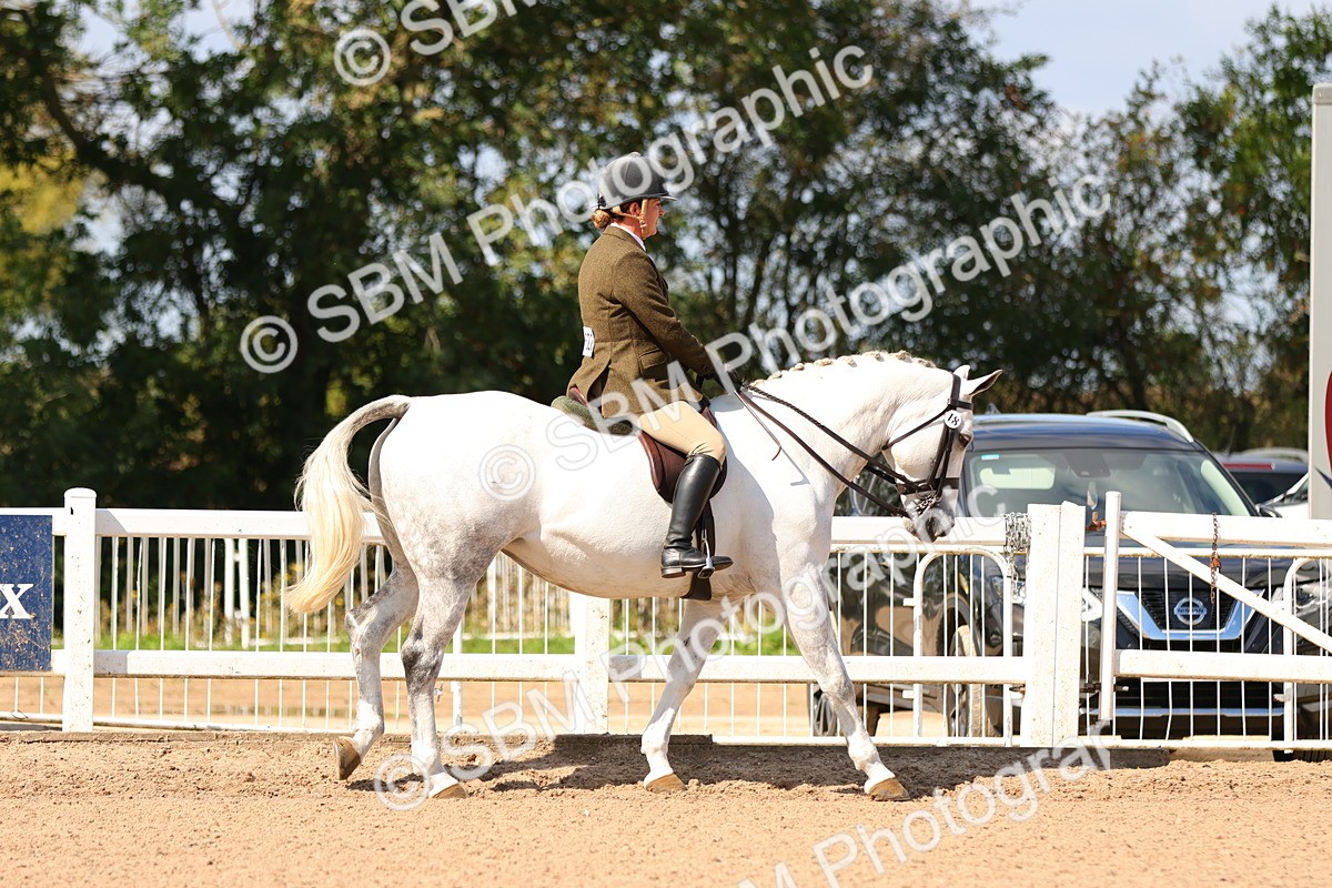 SBM_13156 - Class 211 - Ridden Hunter - Small