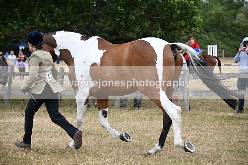WJ6_8156 - Class 10 Coloured in Hand
