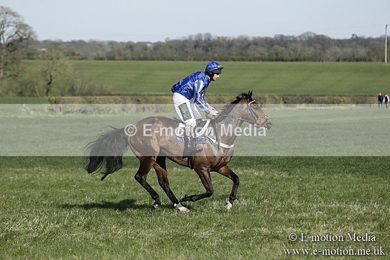 PtP 250317 243 - V.W.H. Hunt Point-to-Point Siddington 25/03/17