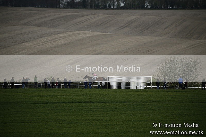 PtP 170417 549 - Old Berks Point-to-Point Lockinge 17/04/17