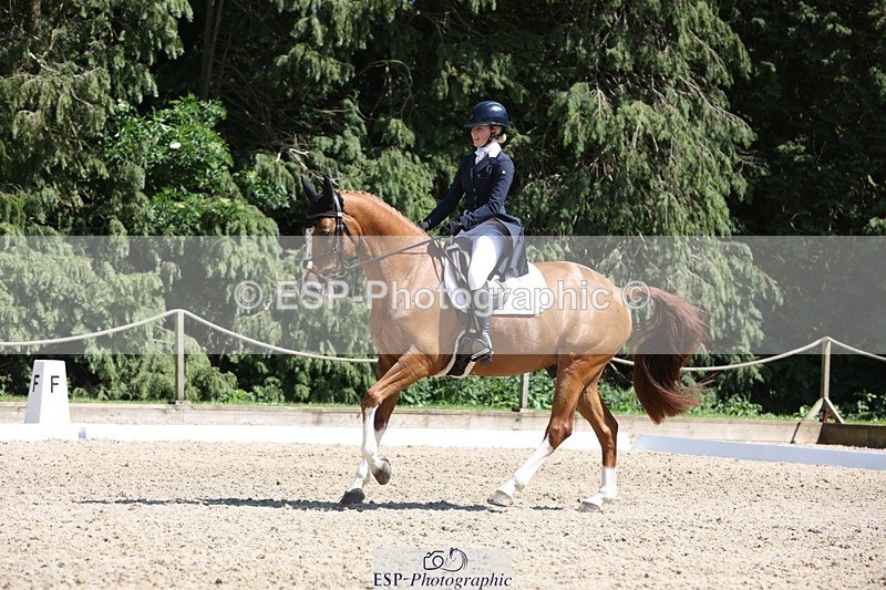 230526-150602-06625 - 378-CLASS_SPEC-Susie_Eddis-WEDTrotUp+DR