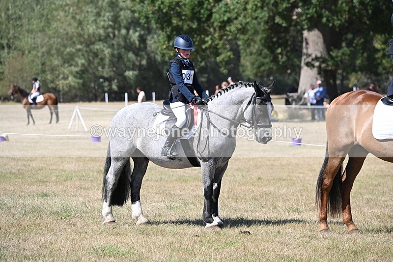 WJ6_9122 - Championship Classes 33-38