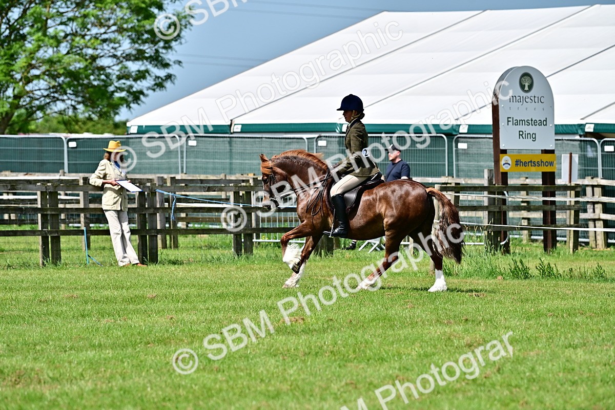 SBM_03795 - Class 58 - TSR  Ridden Veteran Amateur of the year