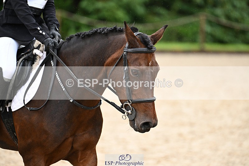 240824X-104014-24876 - 70cm Round 2 10.30 to 12.10