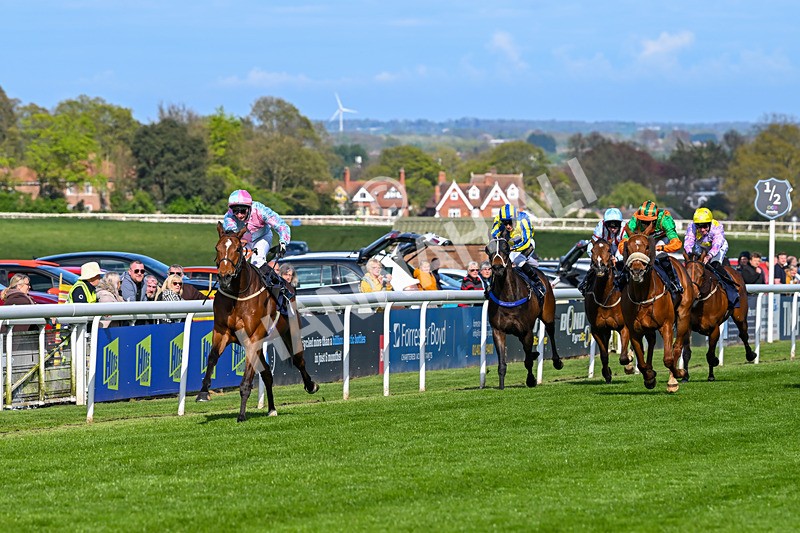 240425-Race 6-Alfie Boy-1644 - Race 6