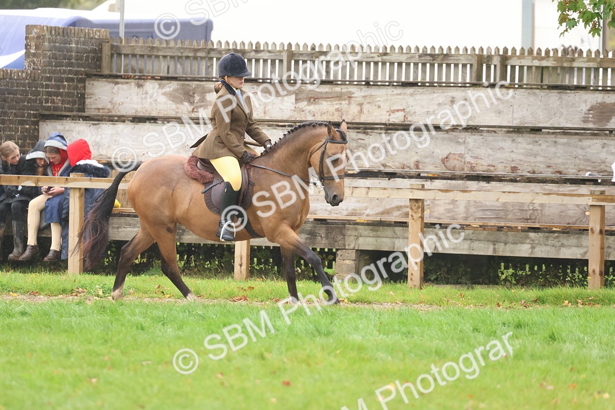SBM_73036 - S63 Show Pony & Show Hunter Pony Ridden