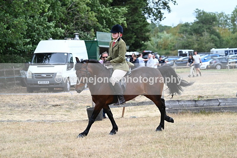WJ7_0644 - Class 6 Ridden Mountain and Moorland