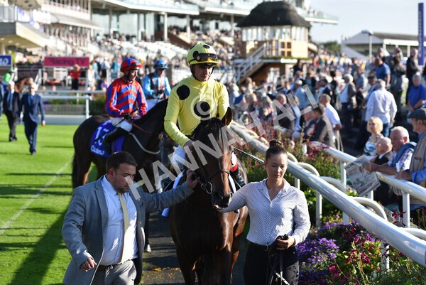 yr08102021r4-12 - Race 4 3.50pm Casumo Dare To be Different Handicap