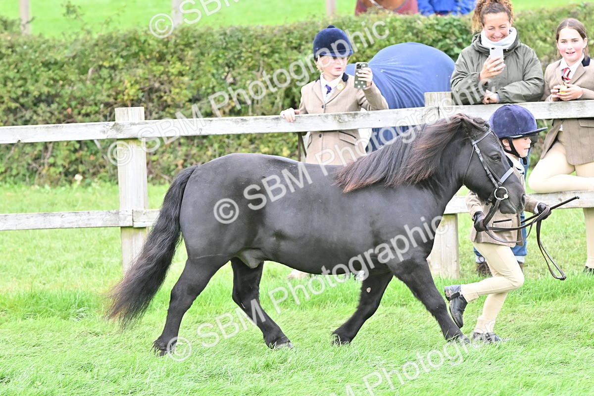 SBM_66782 - S41 - Junior Handler 8 Years & Under
