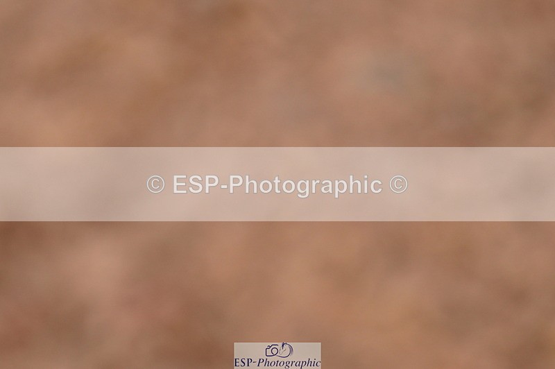 240628A-191034-00992 - Cls 3 1m Open