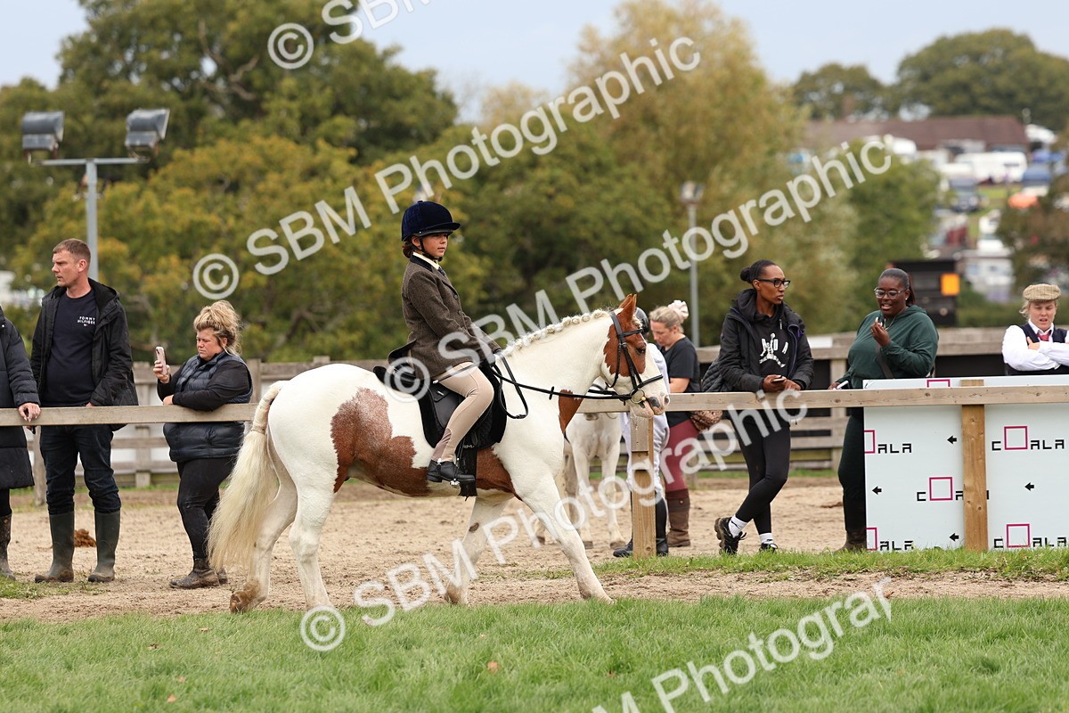 SBM_64392 - S58 - Coloured Pony Ridden