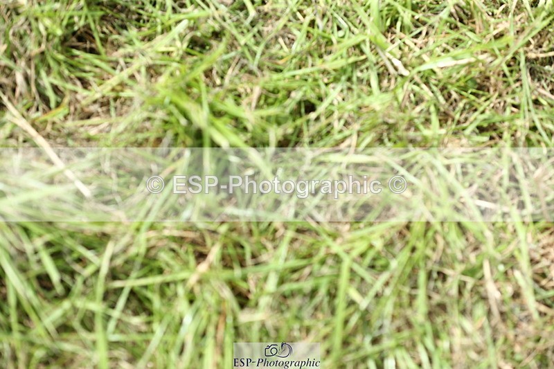 230820A-134200-00282 - Cls 2 Discovery & Open