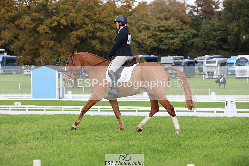 251023A-104729-03224 - D-310-Emily.R.Vincent