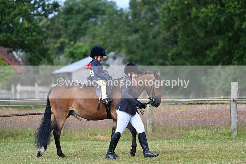 WJ7_4368 - Class 1 Lead Rein Pony