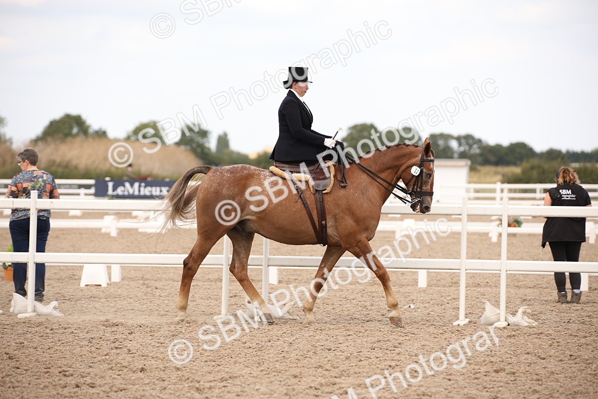 SBM_06628 - Class 23 SSA Classical