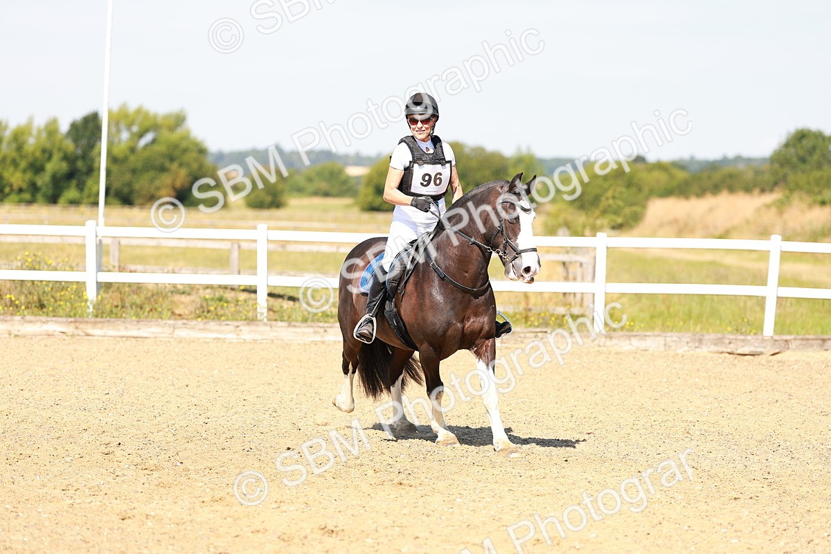 SBM_000949 - AE - 60cm