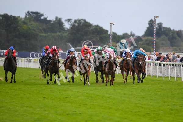 250823-Race 4-Live In The Dream-0624 - Race 4 3.35pm Coolmore Wootton Bassett Nunthorpe Stakes